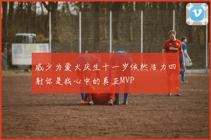 威少为爱犬庆生十一岁依然活力四射你是我心中的真正MVP