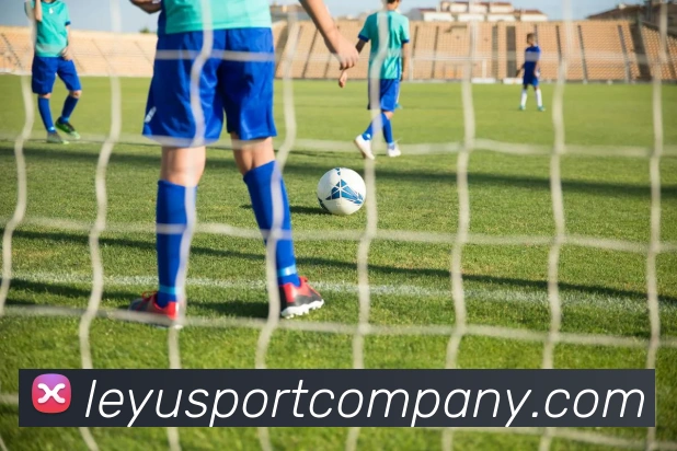 乐鱼体育APP 封面图